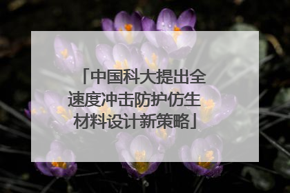 中国科大提出全速度冲击防护仿生材料设计新策略