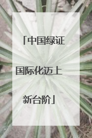 中国绿证国际化迈上新台阶