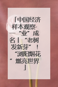 中国经济样本观察·一“业”成名丨“老树发新芽”！“浏阳烟花”燃亮世界