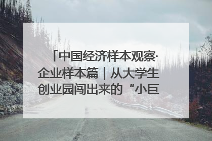 中国经济样本观察·企业样本篇｜从大学生创业园闯出来的“小巨人”——卡诺普机器人的逐梦历程