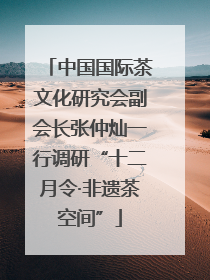 中国国际茶文化研究会副会长张仲灿一行调研“十二月令·非遗茶空间”