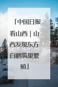 中国日报看山西｜山西发现东方白鹳筑巢繁殖