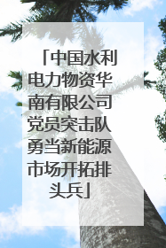 中国水利电力物资华南有限公司党员突击队勇当新能源市场开拓排头兵