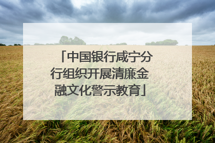 中国银行咸宁分行组织开展清廉金融文化警示教育