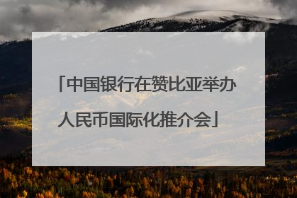 中国银行在赞比亚举办人民币国际化推介会