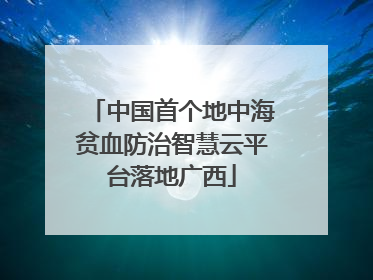 中国首个地中海贫血防治智慧云平台落地广西