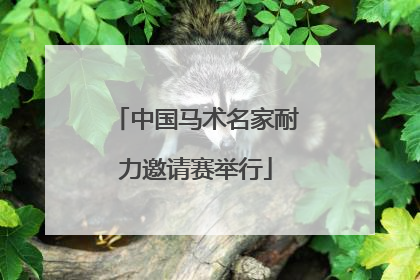 中国马术名家耐力邀请赛举行