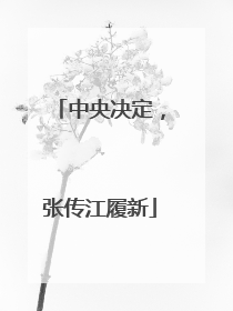 中央决定，张传江履新