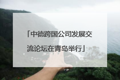 中德跨国公司发展交流论坛在青岛举行