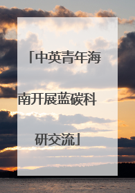 中英青年海南开展蓝碳科研交流