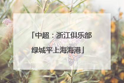 中超：浙江俱乐部绿城平上海海港