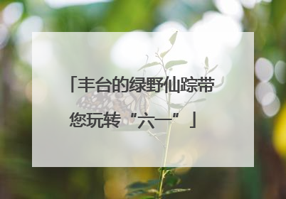 丰台的绿野仙踪带您玩转“六一”