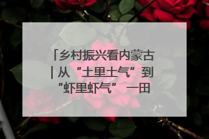 乡村振兴看内蒙古｜从“土里土气”到“虾里虾气” 一田双收模式火出圈