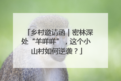 乡村邀请函｜密林深处“羊咩咩”，这个小山村如何逆袭？