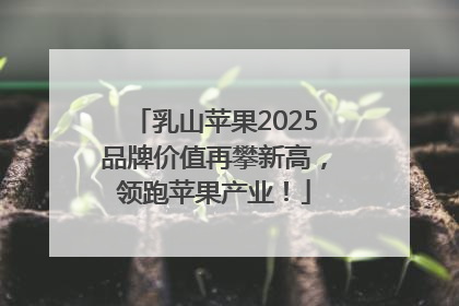 乳山苹果2025品牌价值再攀新高，领跑苹果产业！