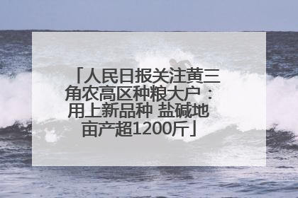 人民日报关注黄三角农高区种粮大户：用上新品种 盐碱地亩产超1200斤
