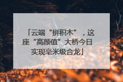 云端“拼积木”，这座“高颜值”大桥今日实现毫米级合龙