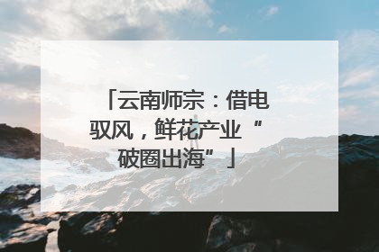 云南师宗：借电驭风，鲜花产业“破圈出海”