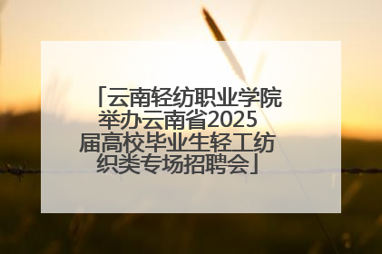 云南轻纺职业学院举办云南省2025届高校毕业生轻工纺织类专场招聘会