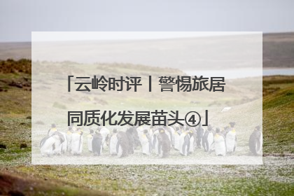 云岭时评丨警惕旅居同质化发展苗头④
