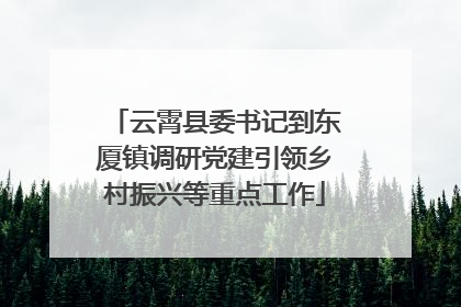 云霄县委书记到东厦镇调研党建引领乡村振兴等重点工作