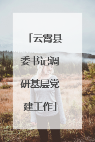 云霄县委书记调研基层党建工作