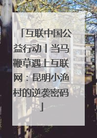 互联中国公益行动丨当马鞭草遇上互联网：昆明小渔村的逆袭密码