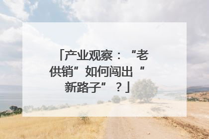 产业观察：“老供销”如何闯出“新路子”？