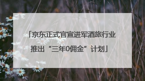 京东正式官宣进军酒旅行业 推出“三年0佣金”计划