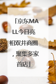 京东MALL今日亮相双井商圈，聚集多家首店