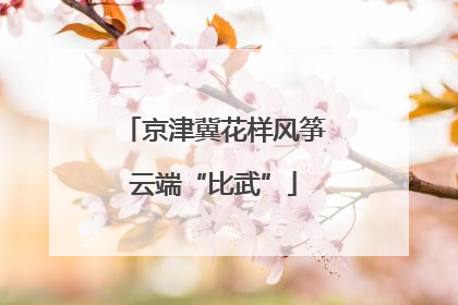 京津冀花样风筝云端“比武”