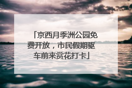 京西月季洲公园免费开放，市民假期驱车前来赏花打卡