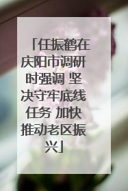 任振鹤在庆阳市调研时强调 坚决守牢底线任务 加快推动老区振兴