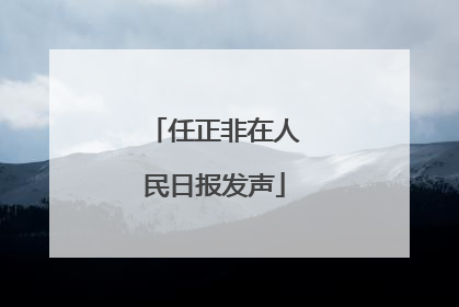 任正非在人民日报发声