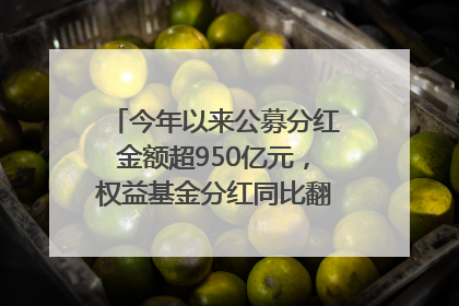 今年以来公募分红金额超950亿元，权益基金分红同比翻倍｜招财猫