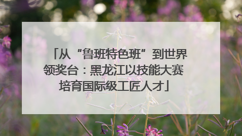 从“鲁班特色班”到世界领奖台：黑龙江以技能大赛培育国际级工匠人才
