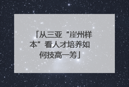 从三亚“崖州样本”看人才培养如何技高一筹