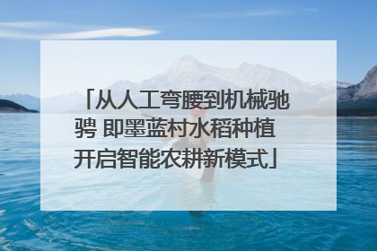 从人工弯腰到机械驰骋 即墨蓝村水稻种植开启智能农耕新模式