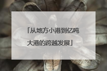 从地方小港到亿吨大港的跨越发展