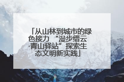 从山林到城市的绿色接力 “漫步缙云·青山驿站”探索生态文明新实践