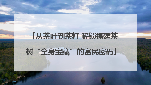 从茶叶到茶籽 解锁福建茶树“全身宝藏”的富民密码