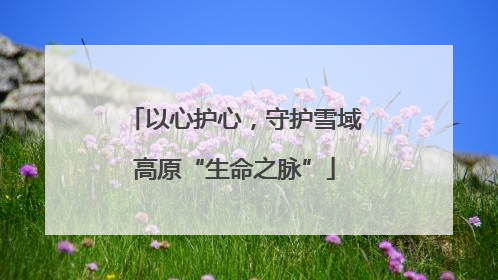 以心护心，守护雪域高原“生命之脉”