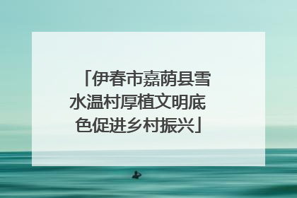 伊春市嘉荫县雪水温村厚植文明底色促进乡村振兴