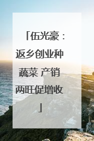 伍光豪：返乡创业种蔬菜 产销两旺促增收