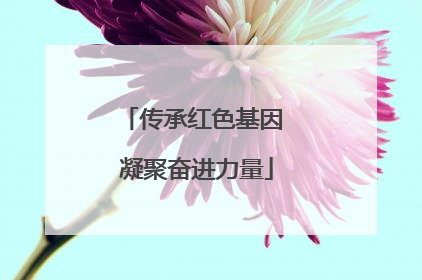 传承红色基因 凝聚奋进力量
