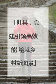 叶县：党建引领高效能 绘就乡村新图景