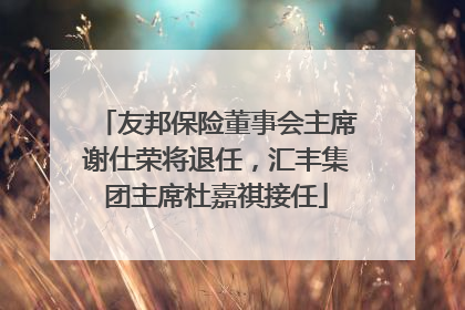 友邦保险董事会主席谢仕荣将退任，汇丰集团主席杜嘉祺接任