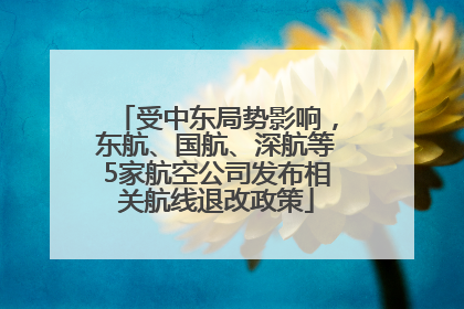 受中东局势影响，东航、国航、深航等5家航空公司发布相关航线退改政策