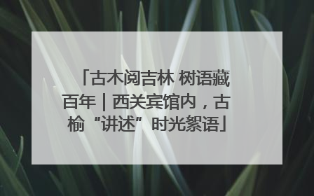 古木阅吉林 树语藏百年｜西关宾馆内，古榆“讲述”时光絮语