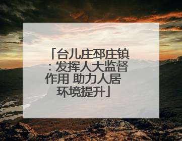 台儿庄邳庄镇：发挥人大监督作用 助力人居环境提升